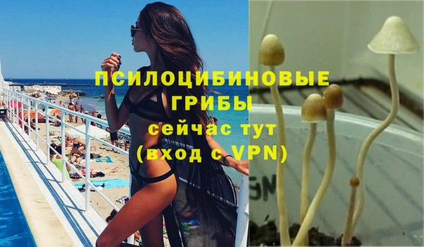 скорость Алзамай